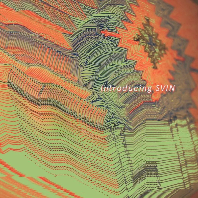 Cover of Introducing SVIN