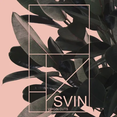 Cover of Virgin Cuts